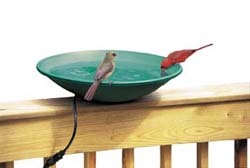 Birds Bathing Heated Bird bath
