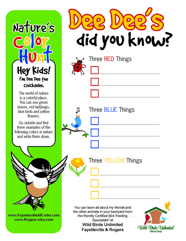 COLOR HUNT
