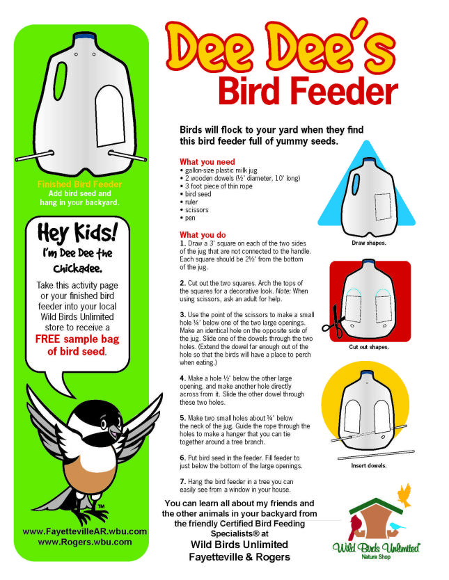 BIRD FEEDER ACTIVITY